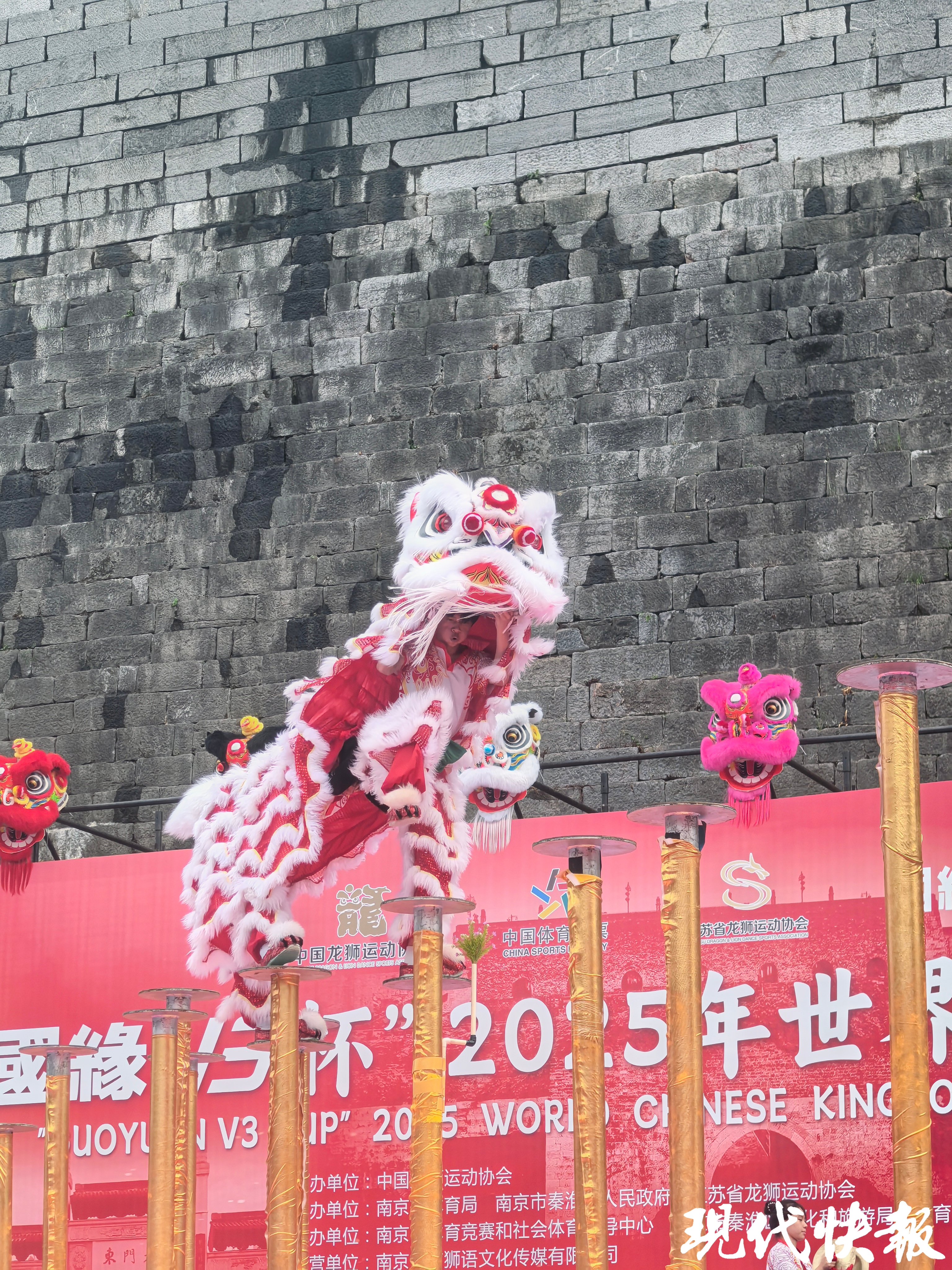 城墙根下“狮”王争霸2025年世界华人狮王争霸赛首日“狮”王成功卫冕(图2)