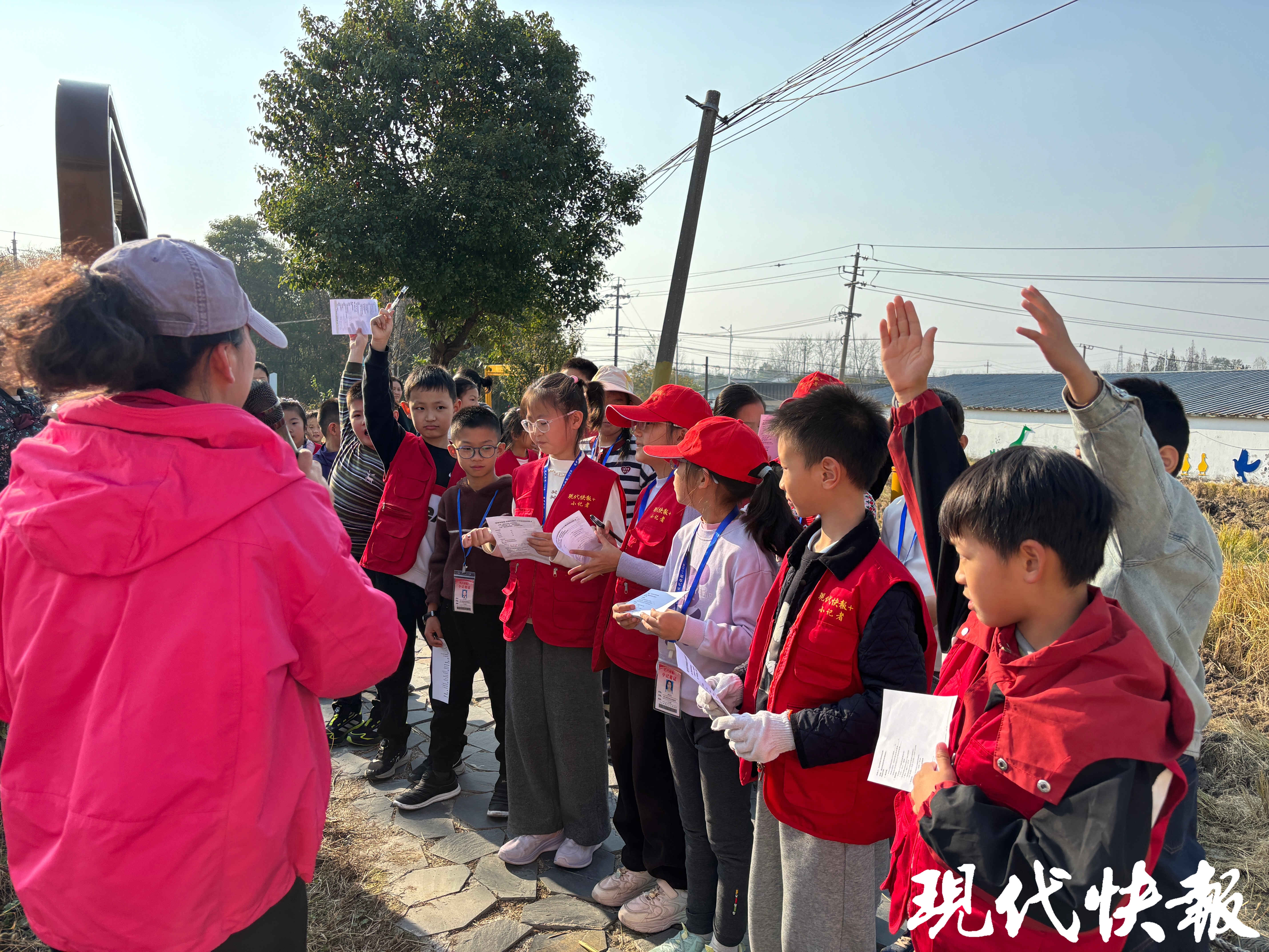 老师给小记者们讲解水稻的知识